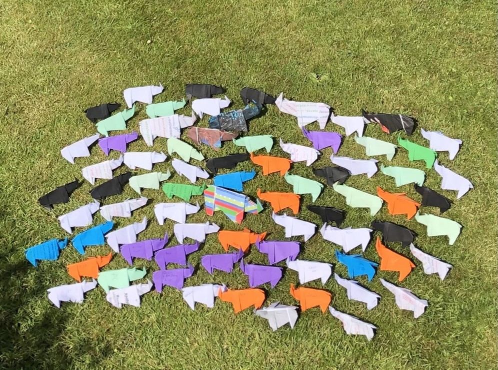 UHI Orkney student raises awareness for endangered rhinos