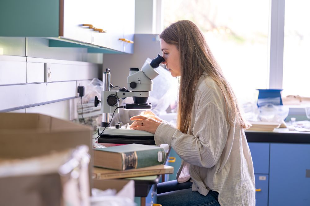 Student in the UHI Orkney lab studying a slide through a microscope