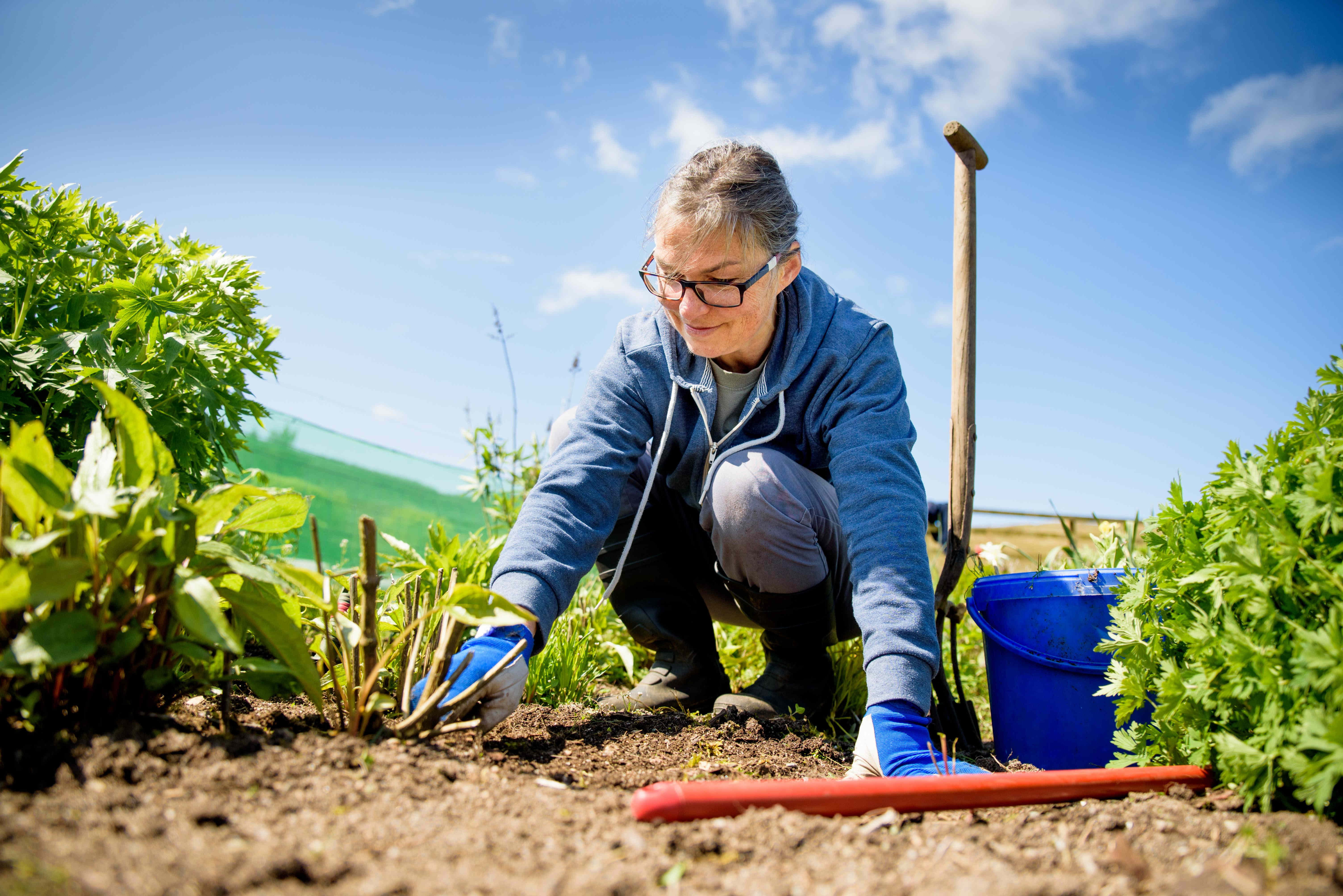 Study reveals importance of personal outdoor space during COVID-19 pandemic