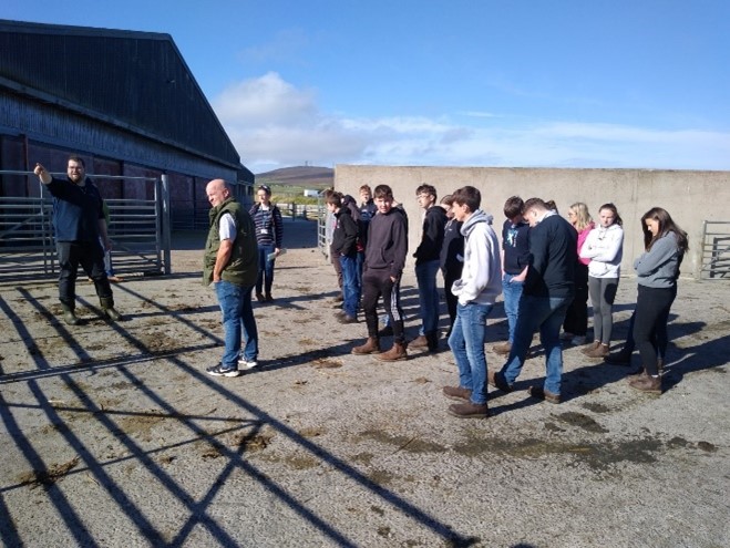 Students visiting Orkney Auction Mart in Kirkwall Orkney